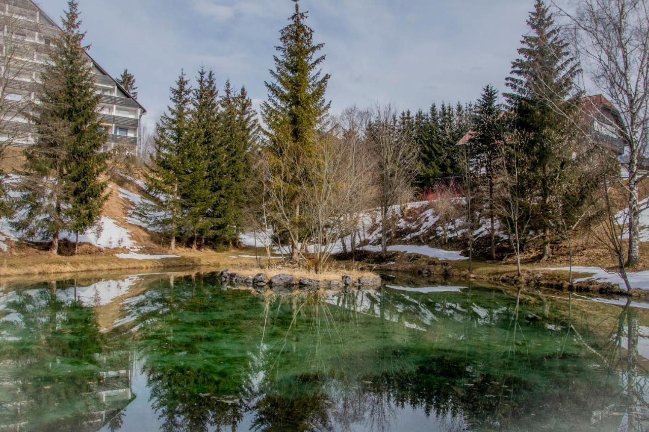 Ferienhaus Fux Bad Mitterndorf Ngoại thất bức ảnh